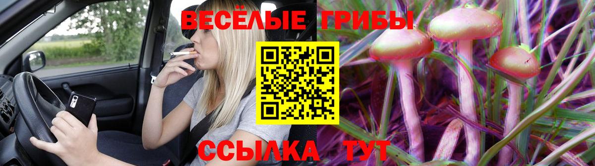Валуйки  Псилоцибиновые грибы GOLDEN TEACHER  Вход с VPN 